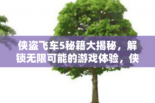 侠盗飞车5秘籍大揭秘，解锁无限可能的游戏体验，侠盗飞车5秘籍大揭秘，解锁无限可能的游戏体验