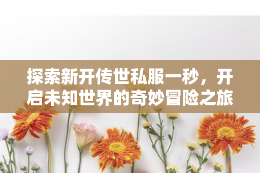 开启未知世界的奇妙冒险之旅图片