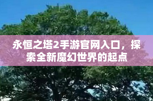永恒之塔2手游官网入口图片