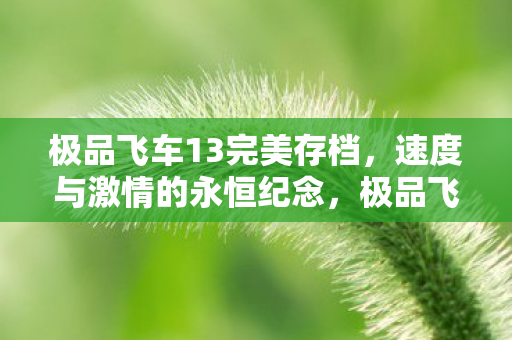 极品飞车13完美存档,速度与激情的永恒纪念,极品飞车13,永恒纪念的速度与激情 极品飞车13完美存档,速度与激情的永恒纪念,极品飞车13,永恒纪念的速度与激情