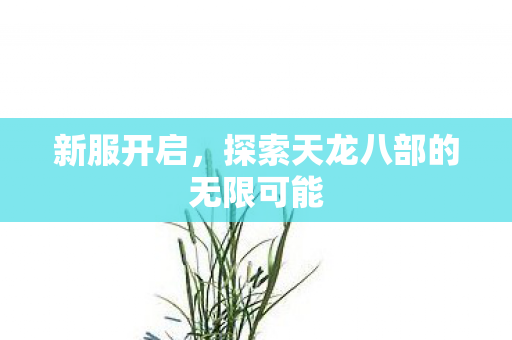 新服开启,探索天龙八部的无限可能 新服开启,探索天龙八部的无限可能