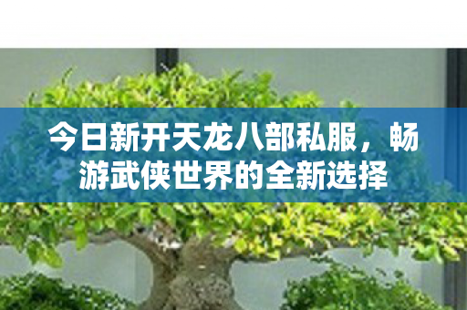 今日新开天龙八部私服,畅游武侠世界的全新选择 今日新开天龙八部私服,畅游武侠世界的全新选择
