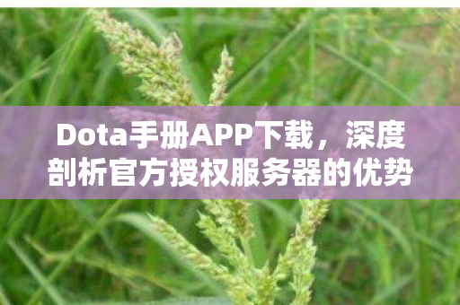 深度剖析官方授权服务器的优势与体验图片