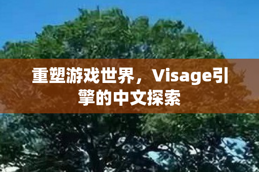 Visage引擎的中文探索图片