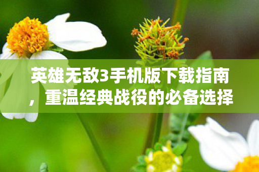 英雄无敌3手机版下载指南图片