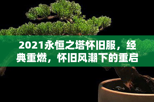 2021永恒之塔怀旧服图片