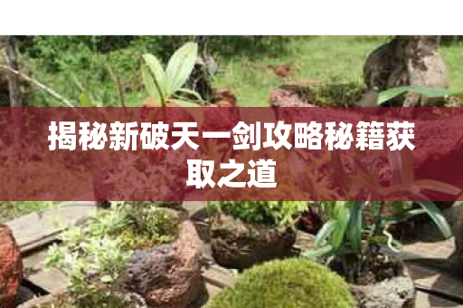 揭秘新破天一剑攻略秘籍获取之道图片