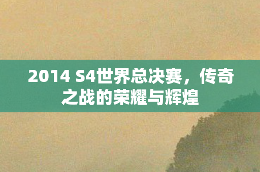 2014 S4世界总决赛图片