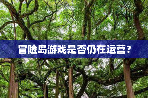 冒险岛游戏是否仍在运营图片