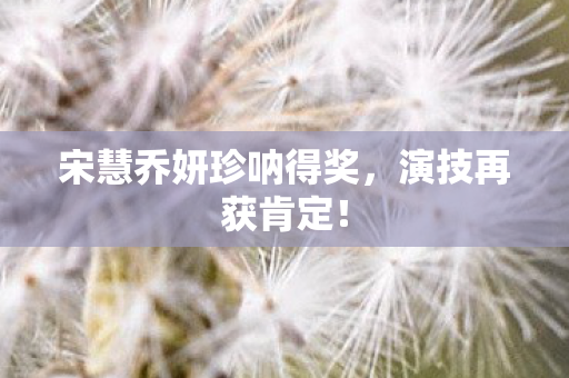 宋慧乔妍珍呐得奖图片