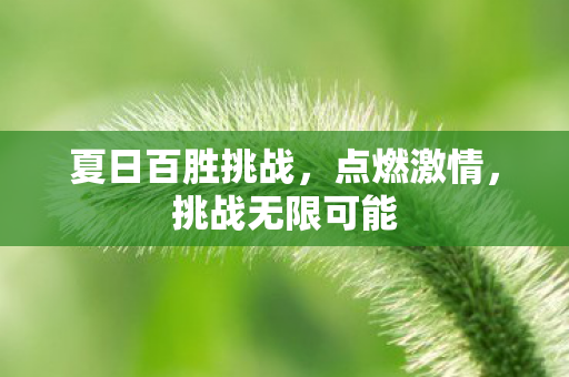 夏日百胜挑战图片