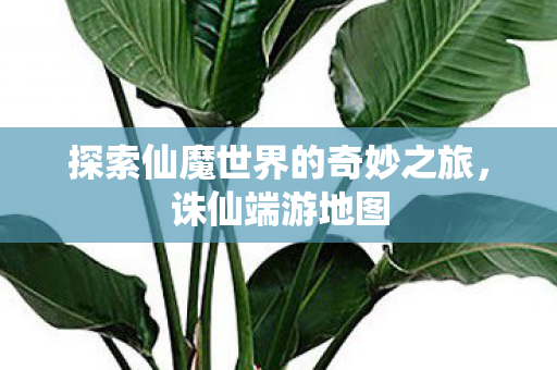 探索仙魔世界的奇妙之旅图片
