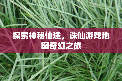 诛仙游戏地图奇幻之旅图片