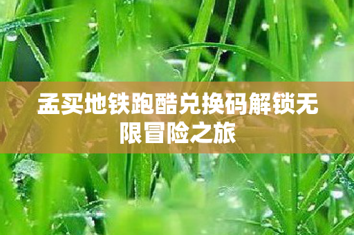 孟买地铁跑酷兑换码解锁无限冒险之旅图片