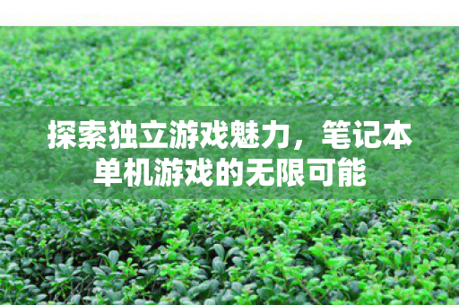 笔记本单机游戏的无限可能图片