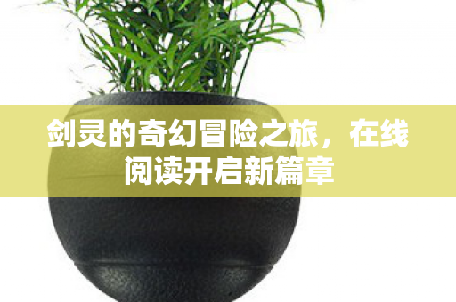 剑灵的奇幻冒险之旅图片