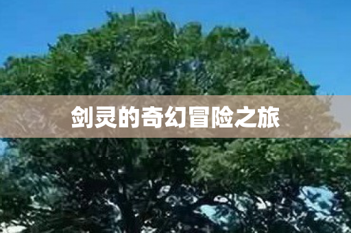 剑灵的奇幻冒险之旅图片
