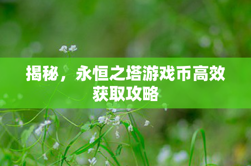 永恒之塔游戏币高效获取攻略图片