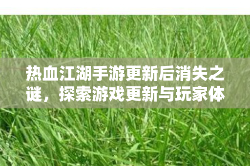 热血江湖手游更新后消失之谜，探索游戏更新与玩家体验的变化