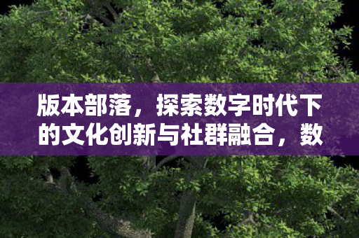 版本部落,探索数字时代下的文化创新与社群融合,数字时代下的文化创新与社群融合,版本部落的探索之旅 版本部落,探索数字时代下的文化创新与社群融合,数字时代下的文化创新与社群融合,版本部落的探索之旅