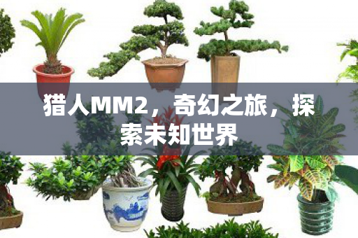 探索未知世界图片
