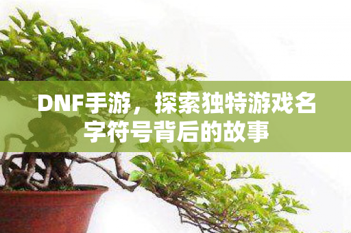 探索独特游戏名字符号背后的故事图片