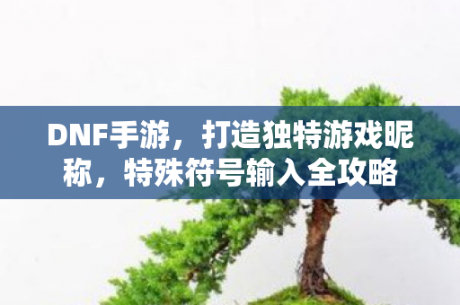 特殊符号输入全攻略图片