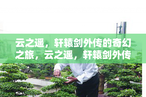 轩辕剑外传的奇幻之旅图片