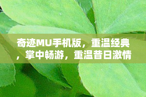 奇迹MU手机版图片
