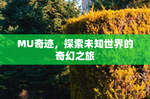 探索未知世界的奇幻之旅图片
