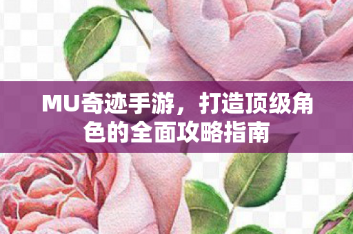 打造顶级角色的全面攻略指南图片