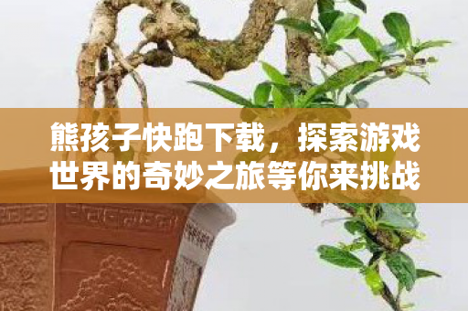 熊孩子快跑下载,探索游戏世界的奇妙之旅等你来挑战! 熊孩子快跑下载,探索游戏世界的奇妙之旅等你来挑战!