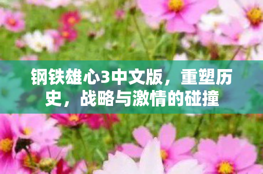 钢铁雄心3中文版图片