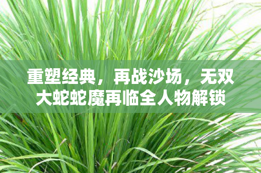 无双大蛇蛇魔再临全人物解锁图片
