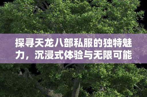 探寻天龙八部私服的独特魅力图片