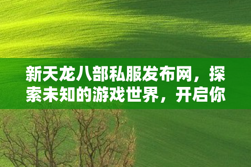 新天龙八部私服发布网图片