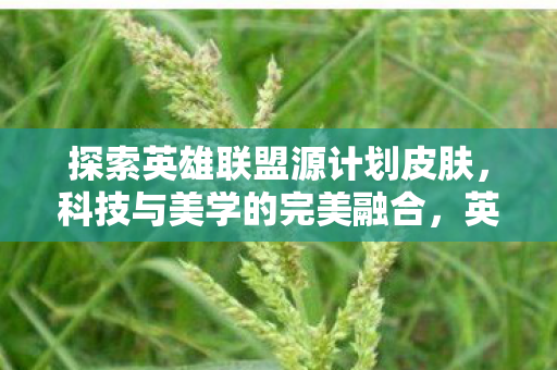 探索英雄联盟源计划皮肤,科技与美学的完美融合,英雄联盟源计划皮肤,科技与美学的完美融合 探索英雄联盟源计划皮肤,科技与美学的完美融合,英雄联盟源计划皮肤,科技与美学的完美融合