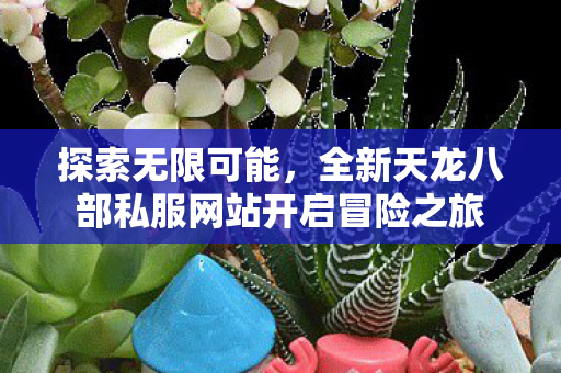全新天龙八部私服网站开启冒险之旅图片