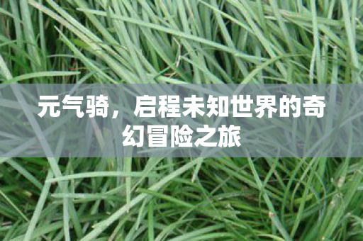 启程未知世界的奇幻冒险之旅图片