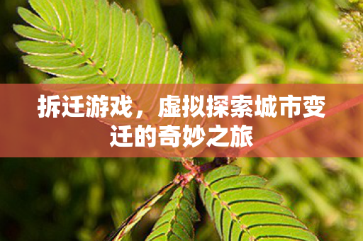 虚拟探索城市变迁的奇妙之旅图片