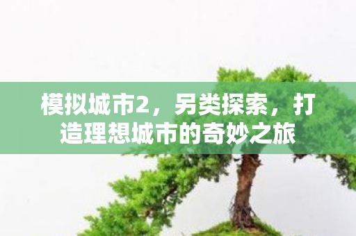 打造理想城市的奇妙之旅图片