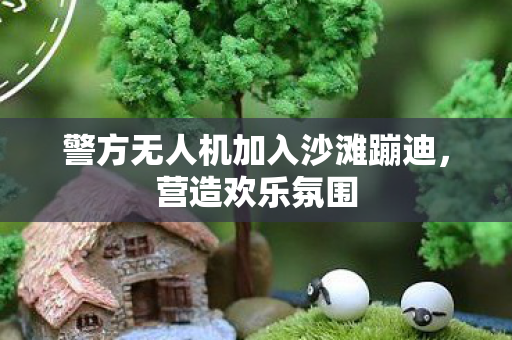 警方无人机加入沙滩蹦迪图片