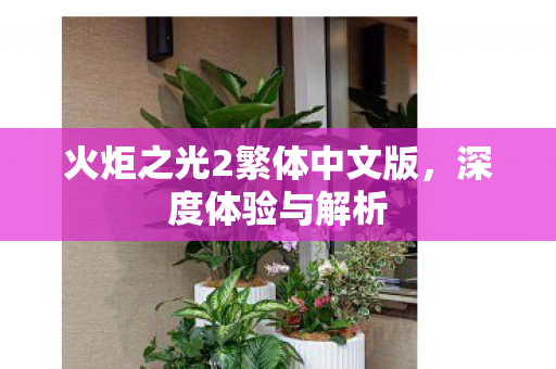 火炬之光2繁体中文版,深度体验与解析 火炬之光2繁体中文版,深度体验与解析