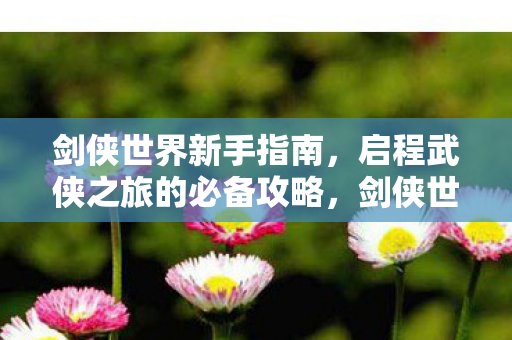 启程武侠之旅的必备攻略图片