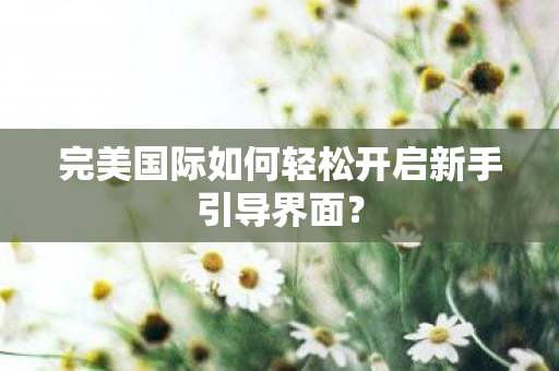 完美国际如何轻松开启新手引导界面图片