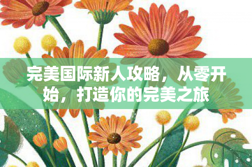 完美国际新人攻略图片
