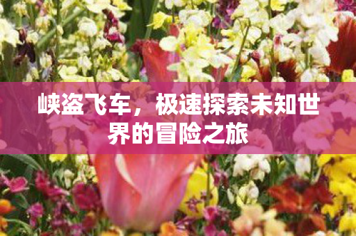 极速探索未知世界的冒险之旅图片