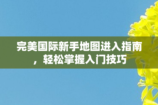 完美国际新手地图进入指南图片