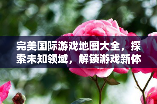 完美国际游戏地图大全图片