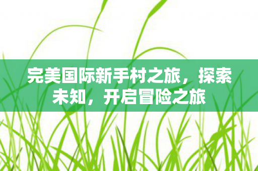 完美国际新手村之旅图片
